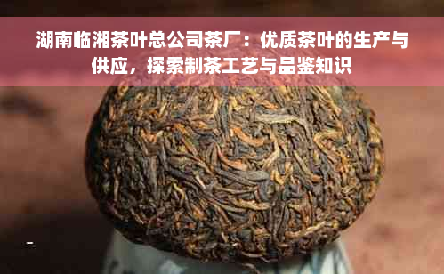 湖南临湘茶叶总公司茶厂：优质茶叶的生产与供应，探索制茶工艺与品鉴知识