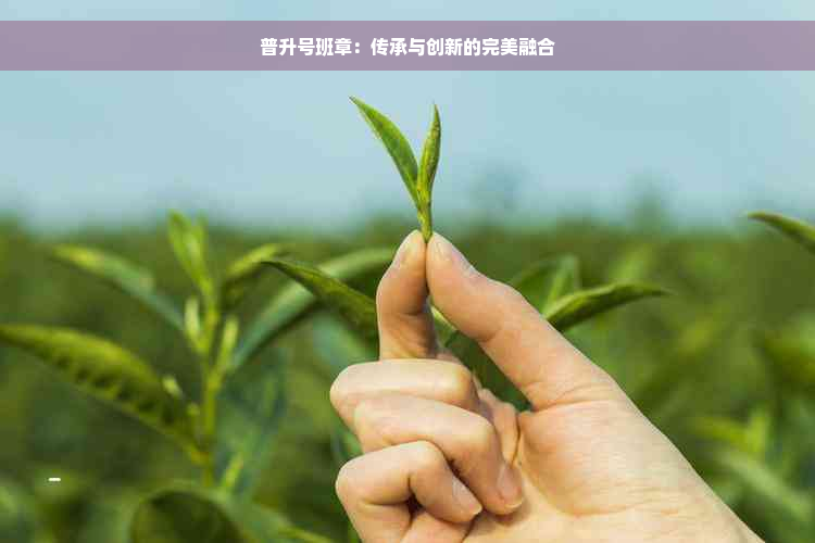 普升号班章：传承与创新的完美融合