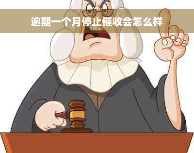 逾期一个月停止催收会怎么样