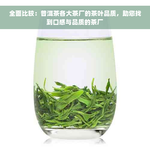 全面比较：普洱茶各大茶厂的茶叶品质，助您找到口感与品质的茶厂