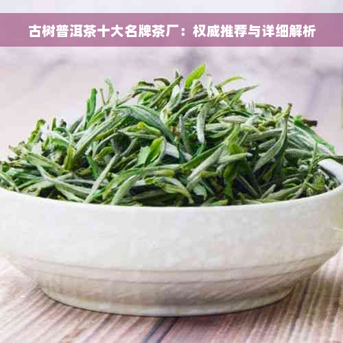 古树普洱茶十大名牌茶厂：权威推荐与详细解析