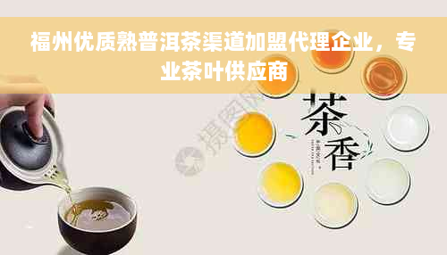 福州优质熟普洱茶渠道加盟代理企业，专业茶叶供应商