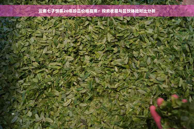 云南七子饼茶20年珍品价格指南：投资收藏与品饮体验对比分析