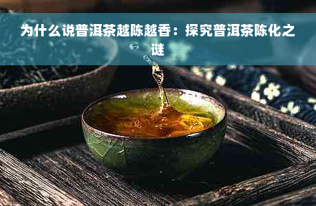 为什么说普洱茶越陈越香：探究普洱茶陈化之谜