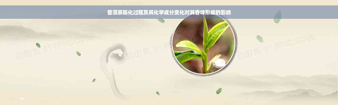 普洱茶陈化过程及其化学成分变化对其香味形成的影响