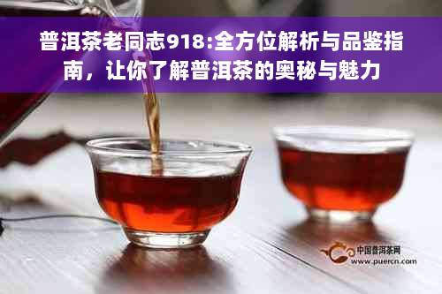 普洱茶老同志918:全方位解析与品鉴指南，让你了解普洱茶的奥秘与魅力