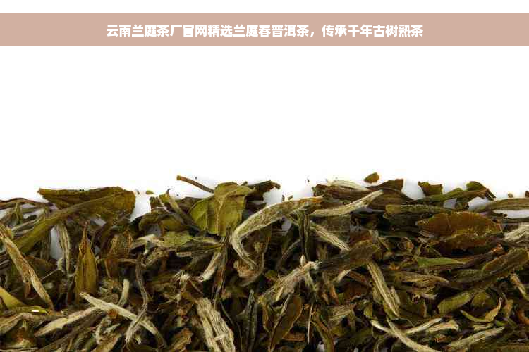 云南兰庭茶厂官网精选兰庭春普洱茶，传承千年古树熟茶