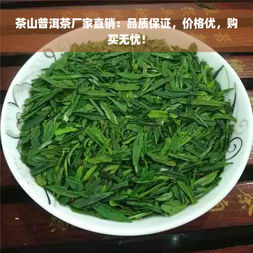 茶山普洱茶厂家直销：品质保证，价格优，购买无忧！