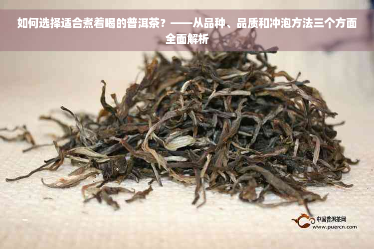 如何选择适合煮着喝的普洱茶？——从品种、品质和冲泡方法三个方面全面解析