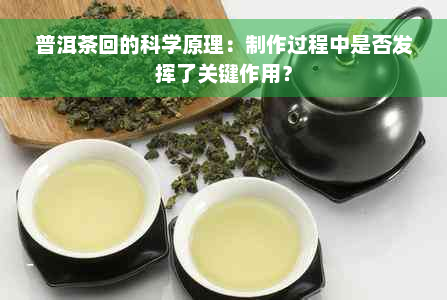 普洱茶回的科学原理：制作过程中是否发挥了关键作用？