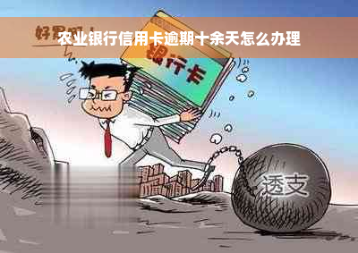 农业银行信用卡逾期十余天怎么办理