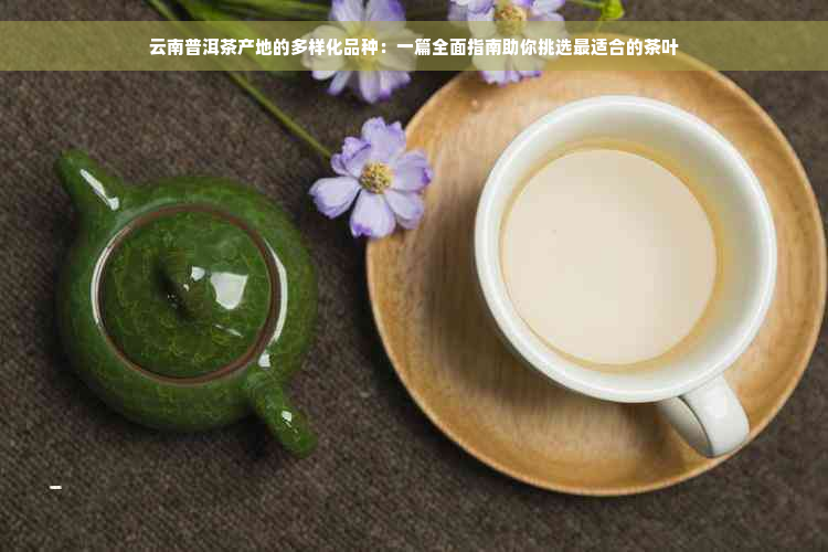 云南普洱茶产地的多样化品种：一篇全面指南助你挑选最适合的茶叶