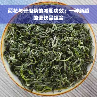 菊花与普洱茶的减肥功效：一种新颖的健饮品组合