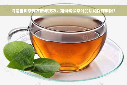 海南普洱茶存方法与技巧，如何确保茶叶品质和保存期限？