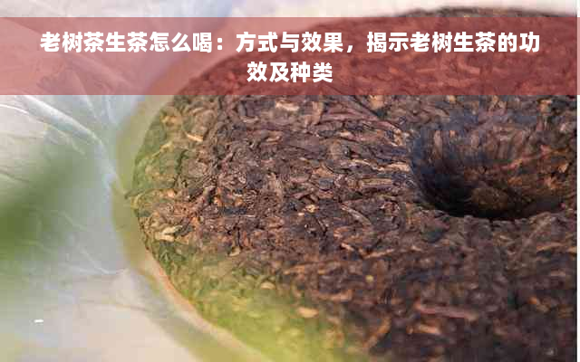 老树茶生茶怎么喝：方式与效果，揭示老树生茶的功效及种类