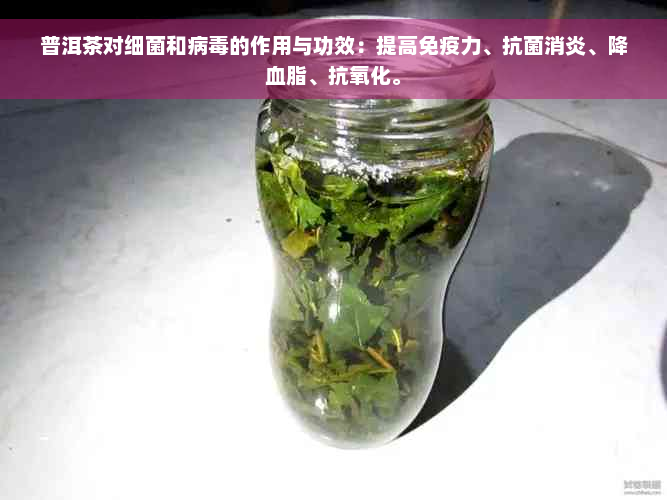 普洱茶对细菌和病毒的作用与功效：提高免疫力、抗菌消炎、降血脂、抗氧化。