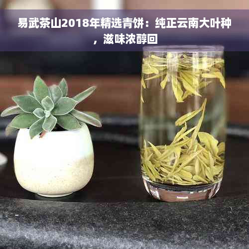 易武茶山2018年精选青饼：纯正云南大叶种，滋味浓醇回