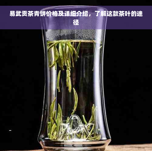 易武贡茶青饼价格及详细介绍，了解这款茶叶的途径