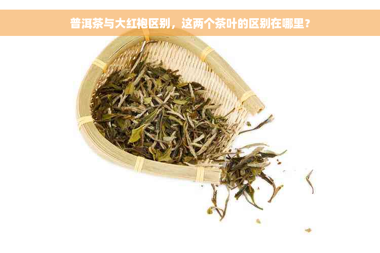 普洱茶与大红袍区别，这两个茶叶的区别在哪里？