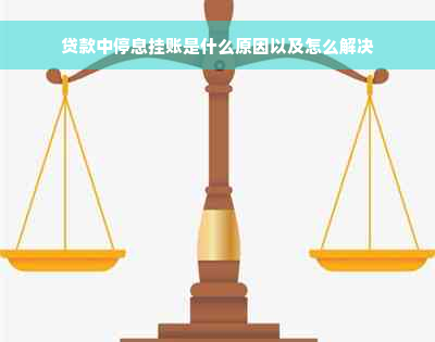 贷款中停息挂账是什么原因以及怎么解决