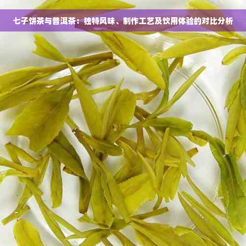 七子饼茶与普洱茶：独特风味、制作工艺及饮用体验的对比分析