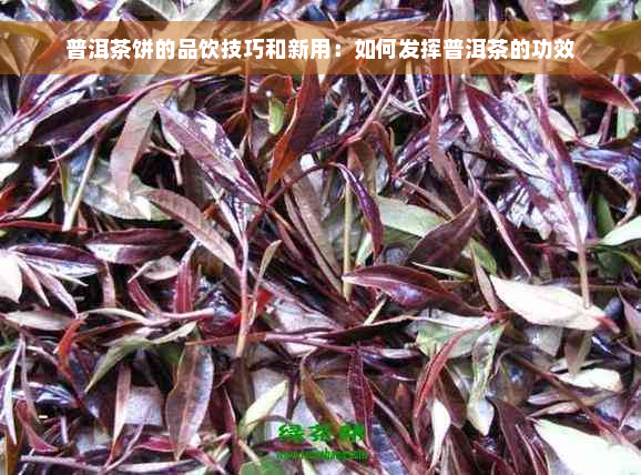 普洱茶饼的品饮技巧和新用：如何发挥普洱茶的功效