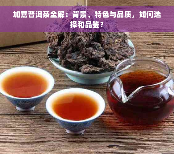 加嘉普洱茶全解：背景、特色与品质，如何选择和品鉴？