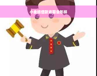 小金桔借款逾期会怎样