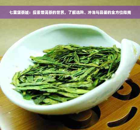 七里堡茶城：探索普洱茶的世界，了解选购、冲泡与品鉴的全方位指南