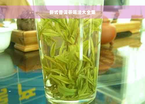 新式普洱茶喝法大全集