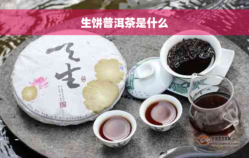 生饼普洱茶是什么