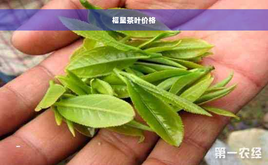 福星茶叶价格