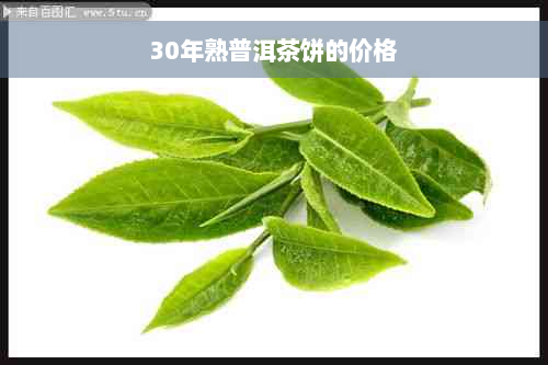 30年熟普洱茶饼的价格