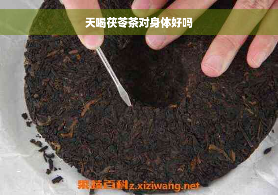 天喝茯苓茶对身体好吗