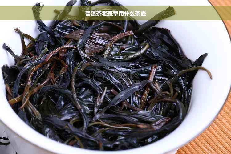 普洱茶老班章用什么茶壶