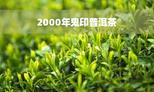 2000年鬼印普洱茶