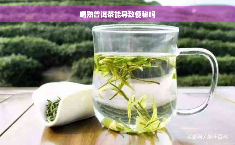 喝熟普洱茶能导致便秘吗