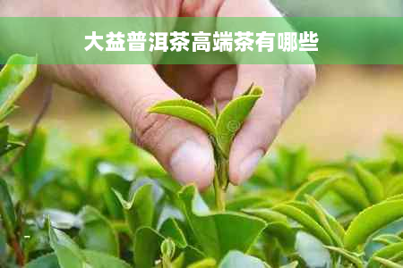 大益普洱茶高端茶有哪些