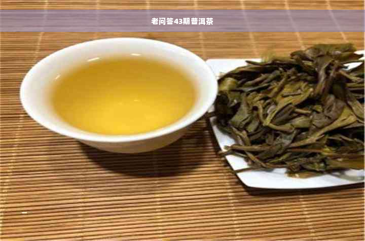 老问答43期普洱茶