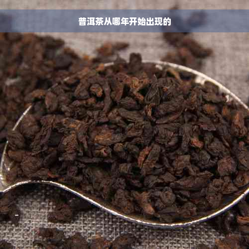 普洱茶从哪年开始出现的