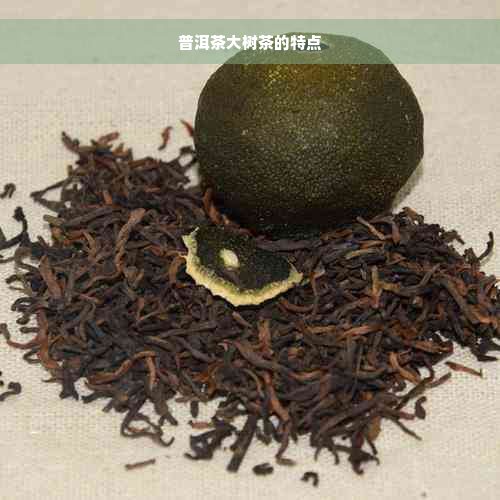 普洱茶大树茶的特点