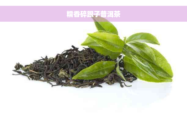 糯香碎跟子普洱茶