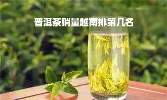 普洱茶销量越南排第几名