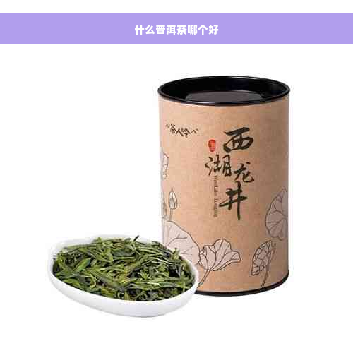 什么普洱茶哪个好