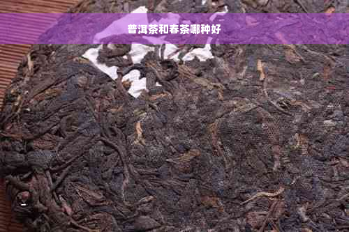 普洱茶和春茶哪种好