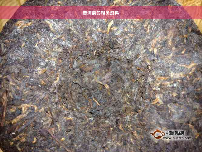 普洱茶的相关资料