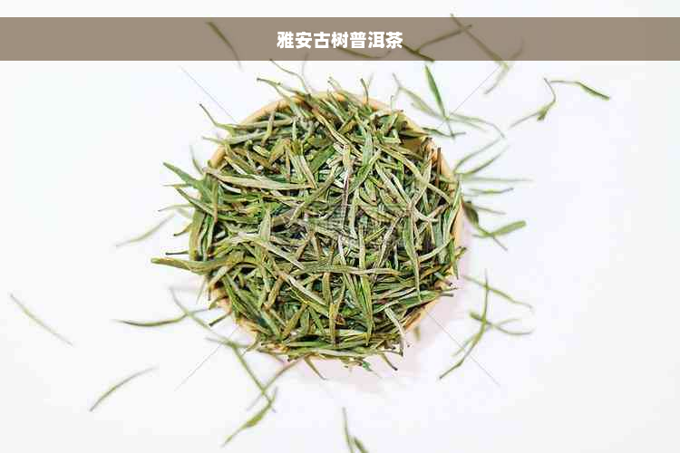 雅安古树普洱茶