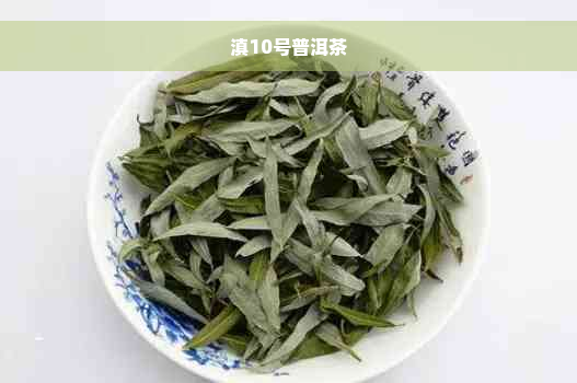 滇10号普洱茶