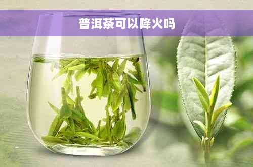 普洱茶可以降火吗