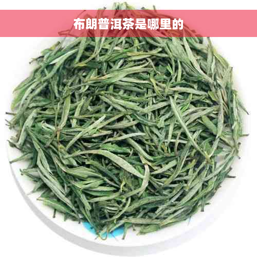 布朗普洱茶是哪里的